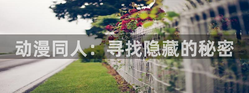 韩漫人气漫画：动漫同人：寻找隐藏的秘密