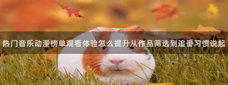 2026韩漫最新更新：热门音乐动漫榜单观看体验怎么提升从作品筛选到追番习惯说起