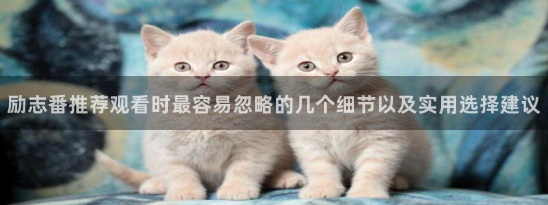 韩漫漫画手机网站：励志番推荐观看时最容易忽略的几个细节以及实用选择建议