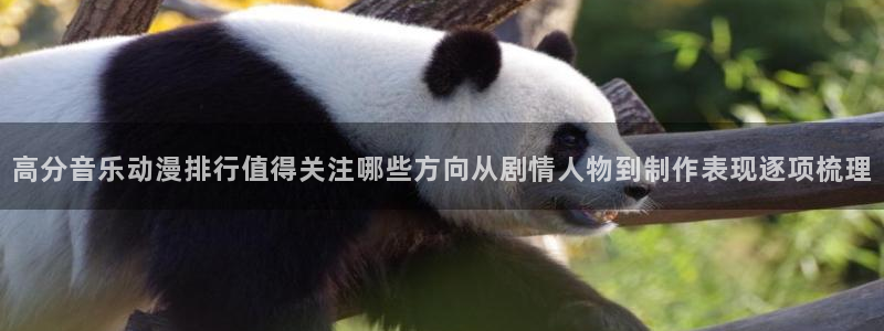 免费韩漫大全：高分音乐动漫排行值得关注哪些方向从剧情人物到制作表现逐项梳理
