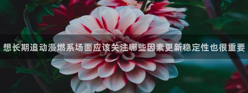 韩漫奇幻漫画：想长期追动漫燃系场面应该关注哪些因素更新稳定性也很重要