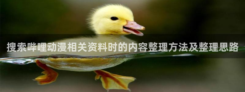韩漫漫画排行：搜索哔哩动漫相关资料时的内容整理方法及整理思路